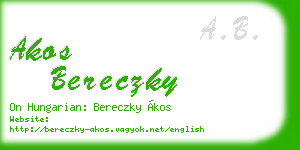 akos bereczky business card